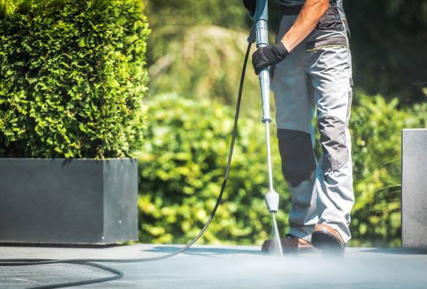 Best Roof Washing  in Vernon, TX