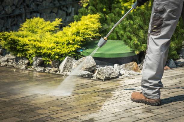 Best Spring Cleaning  in Vernon, TX
